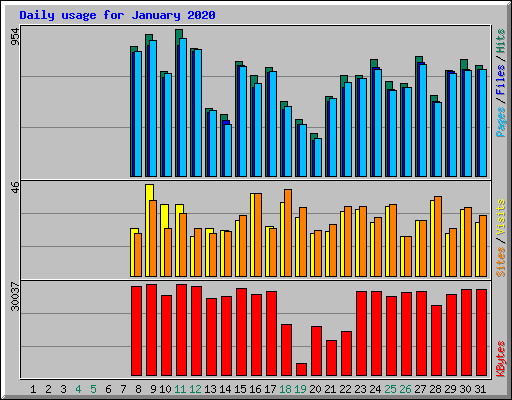 Daily usage for January 2020