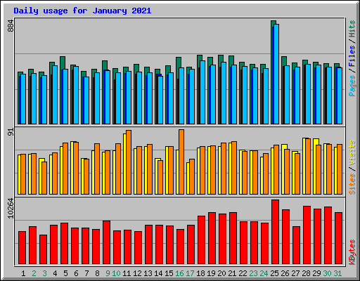 Daily usage for January 2021