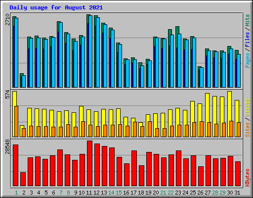 Daily usage for August 2021