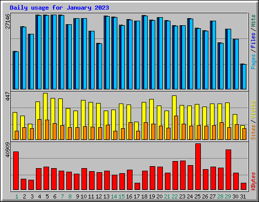 Daily usage for January 2023