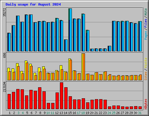 Daily usage for August 2024