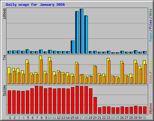 Daily usage for January 2026