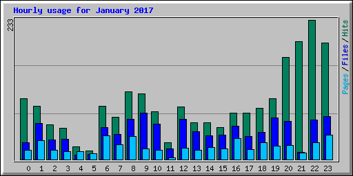 Hourly usage for January 2017