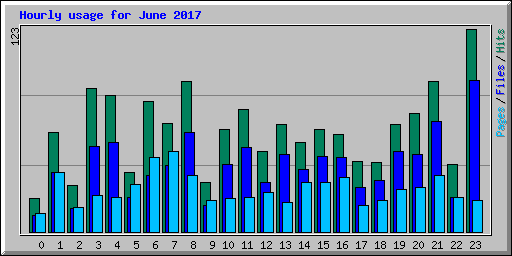 Hourly usage for June 2017