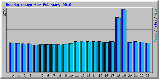 Hourly usage for February 2019