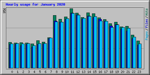 Hourly usage for January 2020