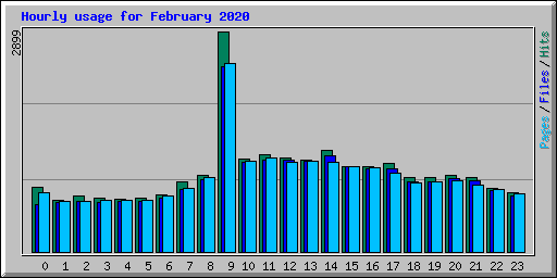 Hourly usage for February 2020