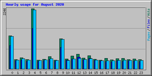 Hourly usage for August 2020