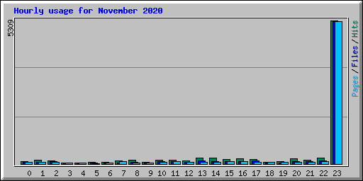 Hourly usage for November 2020