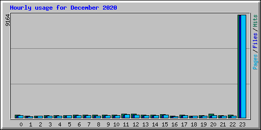 Hourly usage for December 2020