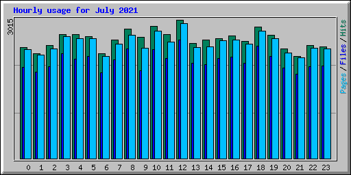 Hourly usage for July 2021