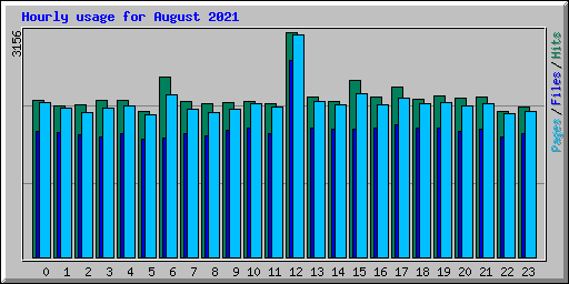 Hourly usage for August 2021