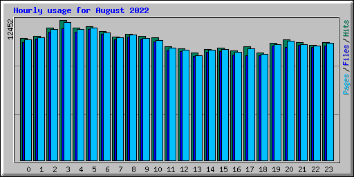 Hourly usage for August 2022