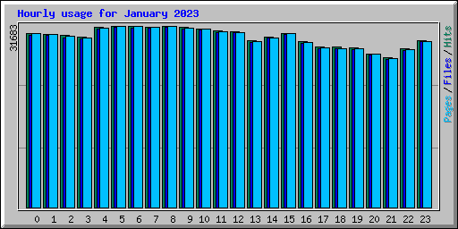 Hourly usage for January 2023