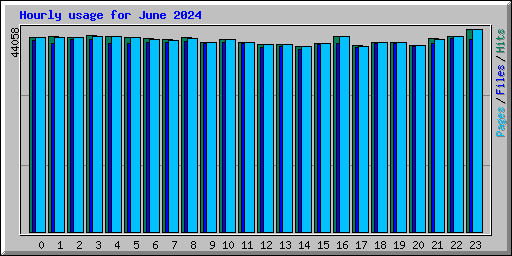 Hourly usage for June 2024