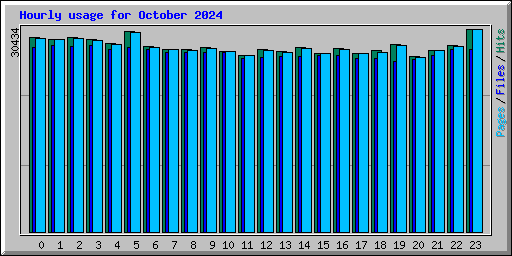 Hourly usage for October 2024