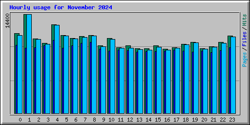 Hourly usage for November 2024