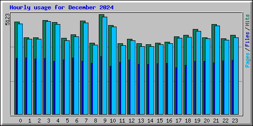 Hourly usage for December 2024