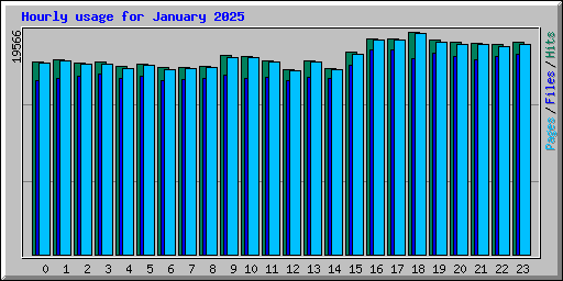 Hourly usage for January 2025