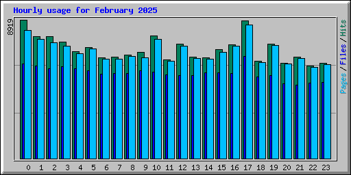 Hourly usage for February 2025