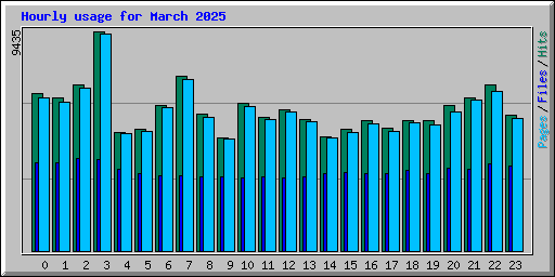 Hourly usage for March 2025