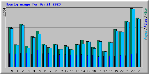 Hourly usage for April 2025
