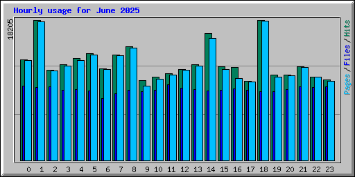 Hourly usage for June 2025