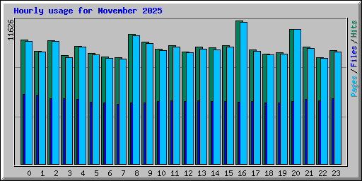 Hourly usage for November 2025