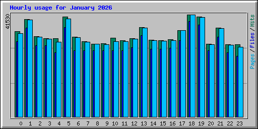 Hourly usage for January 2026