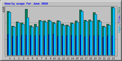Hourly usage for June 2026