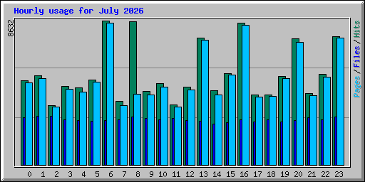 Hourly usage for July 2026